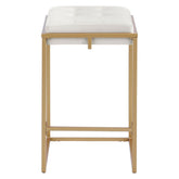 Nadia Square Padded Seat Counter Height Stool (Set of 2) Beige and Gold 183645