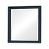 Sandy Beach Vertical Dresser Mirror Black 201324