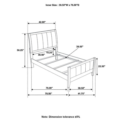 Carlton Twin Upholstered Panel Bed Cappuccino and Black 202091T