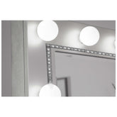 Eleanor Metallic Rectangular Mirror with Light 223464