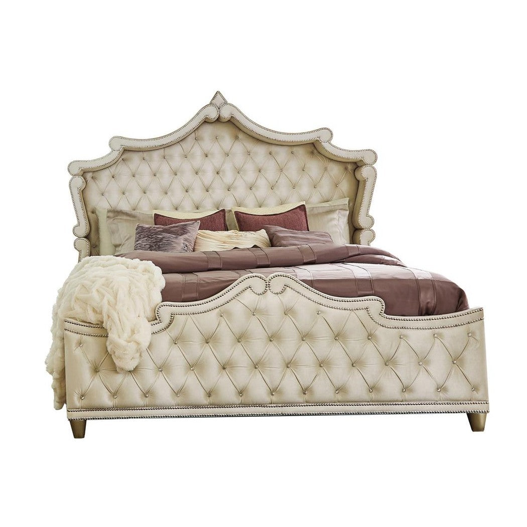 Antonella Upholstered Tufted Bedroom Set Ivory and Camel 223521Q-S4