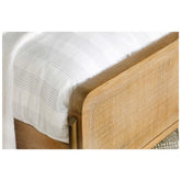 Arini Upholstered Queen Panel Bed Sand Wash and Natural Cane 224300Q