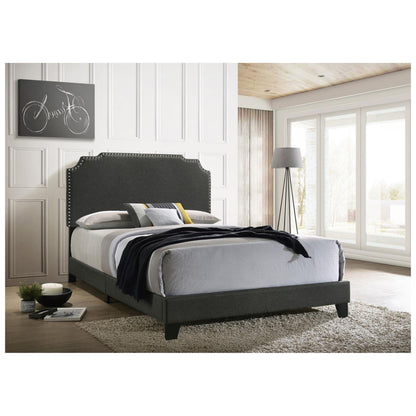 Tamarac Upholstered Nailhead Queen Bed Grey 310063Q