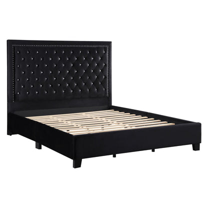 Hailey Upholstered Tufted Platform Queen Bed Black 315925Q