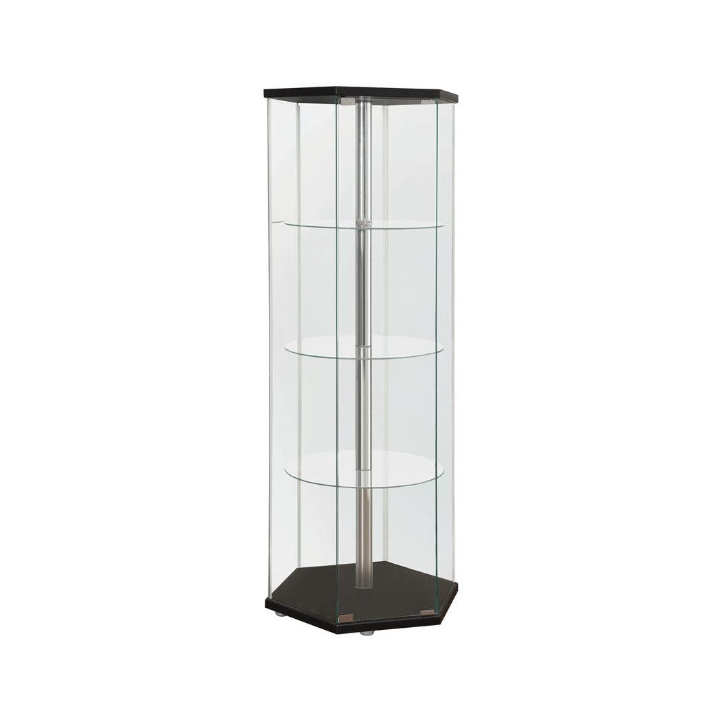 Zahavah 4-shelf Hexagon Shaped Curio Cabinet Black and Clear 950276