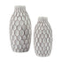 Dionna Vase (Set of 2) Ash-A2000329