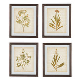 Dyani Wall Art (Set of 4) Ash-A8000198