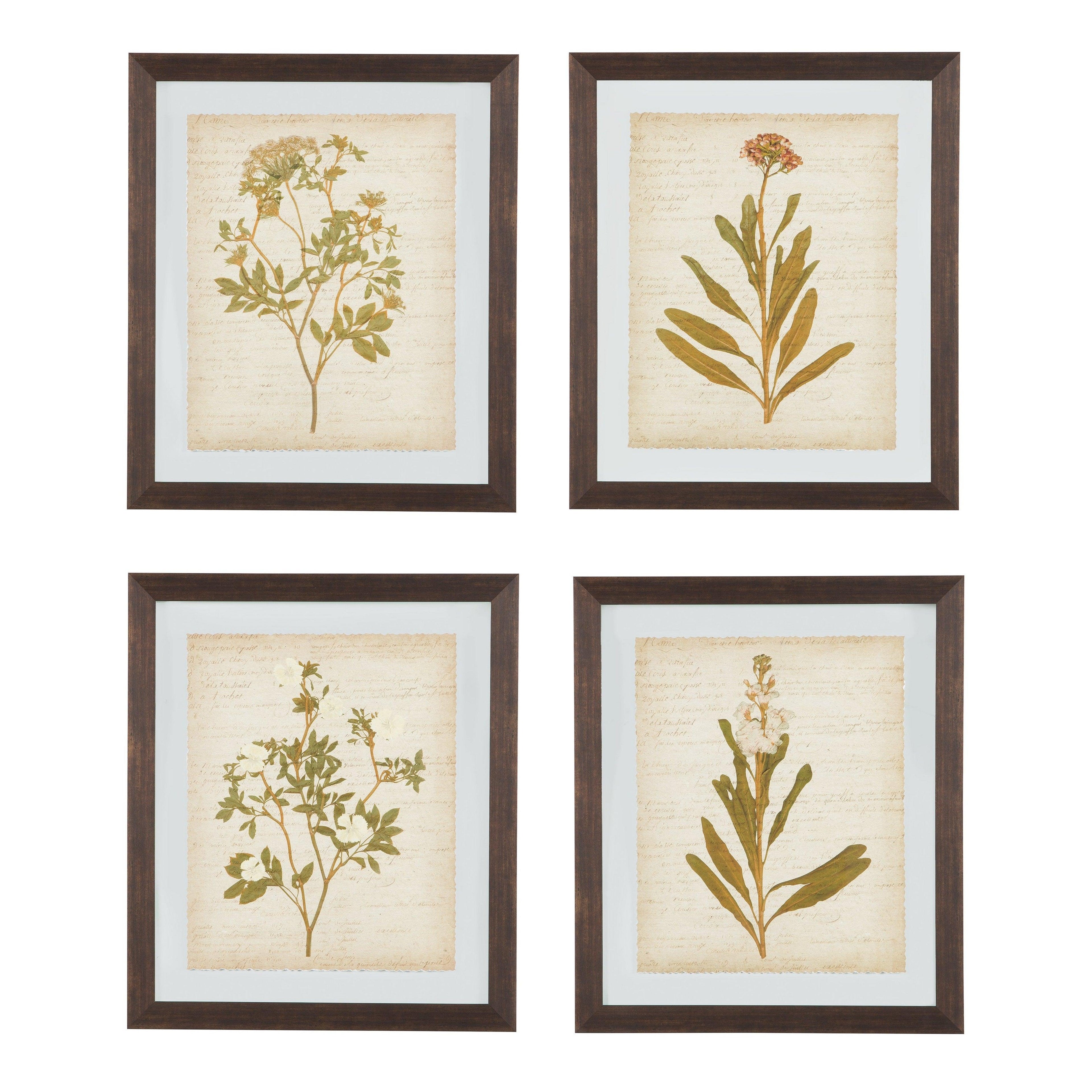 Dyani Wall Art (Set of 4) Ash-A8000198