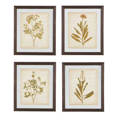 Dyani Wall Art (Set of 4) Ash-A8000198