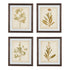 Dyani Wall Art (Set of 4) Ash-A8000198