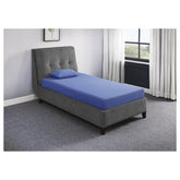 7" Blue Full Mattress Set MT-PG07BLF