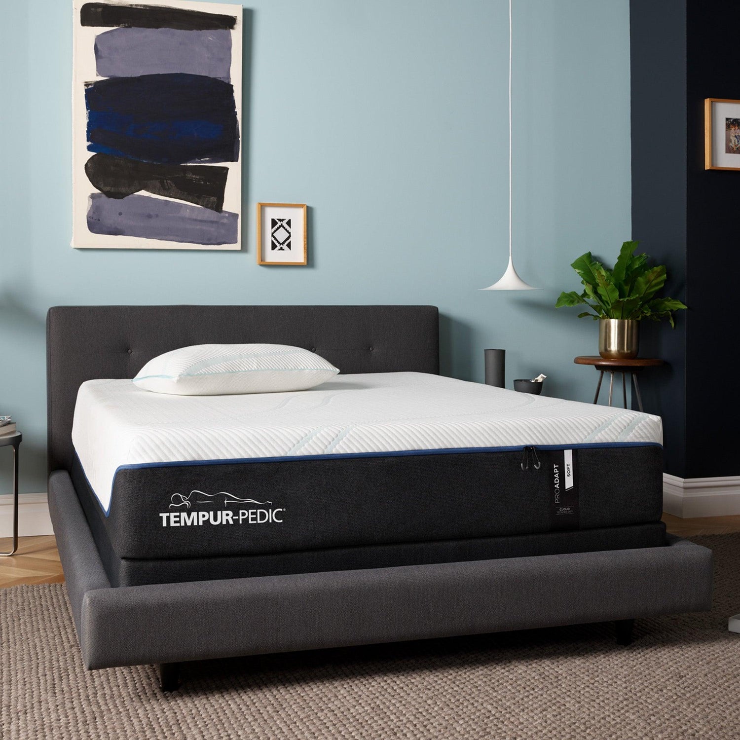 TEMPUR-PEDIC – ProAdapt Soft - Beck&