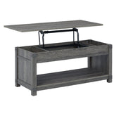 Freedan Lift-Top Coffee Table Ash-T175-9