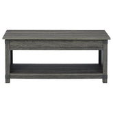 Freedan Lift-Top Coffee Table Ash-T175-9