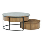 Fridley Nesting Coffee Table (Set of 2) Ash-T964-8